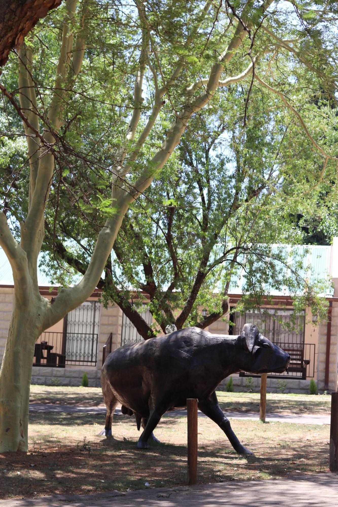 Khaya Africa Hospedaje Midrand Exterior foto