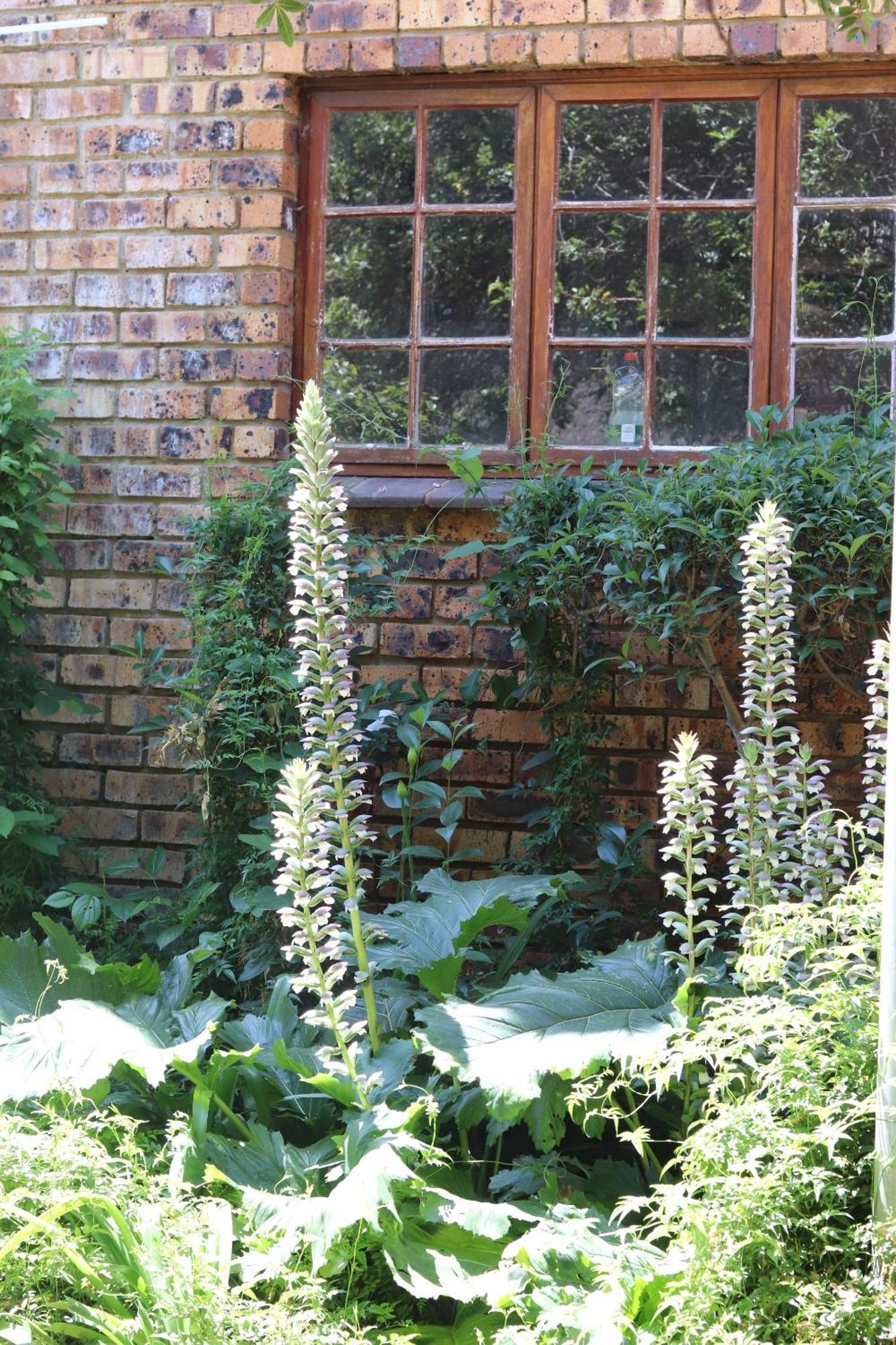 Khaya Africa Hospedaje Midrand Exterior foto