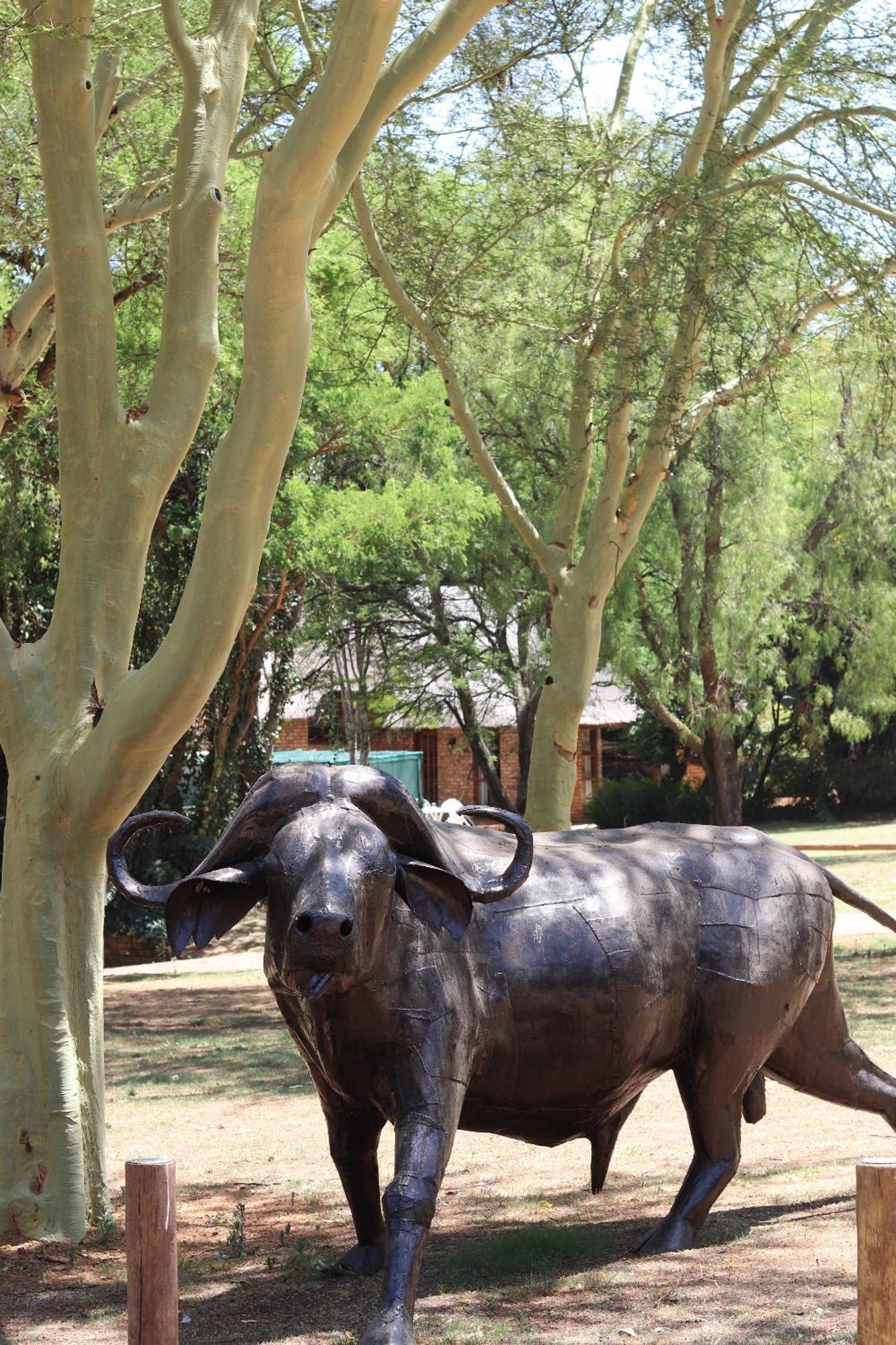 Khaya Africa Hospedaje Midrand Exterior foto